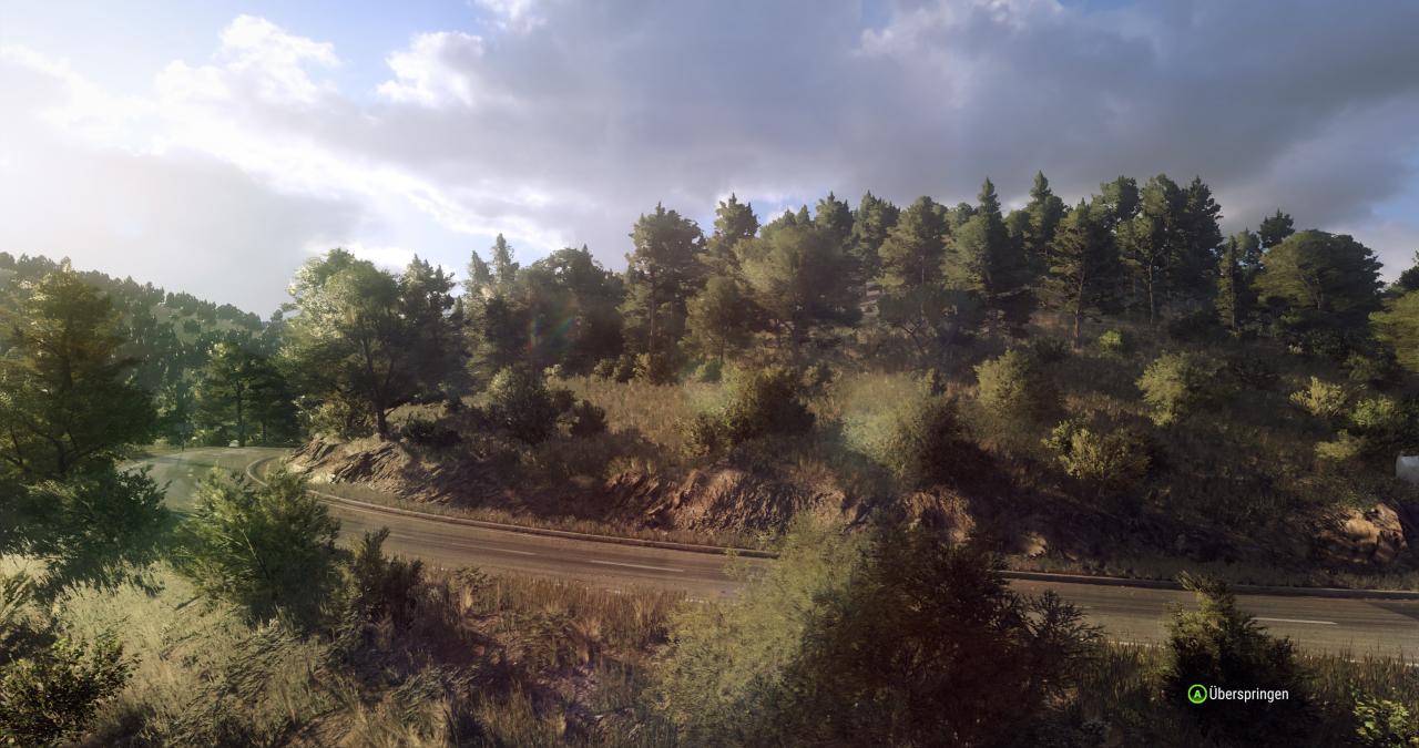 [27/02/2019] Dirt Rally 2.0 im Techniktest (Bilder: 4.096 × 2.160 mit maximalen Details, resampled @ 1440p) (19)