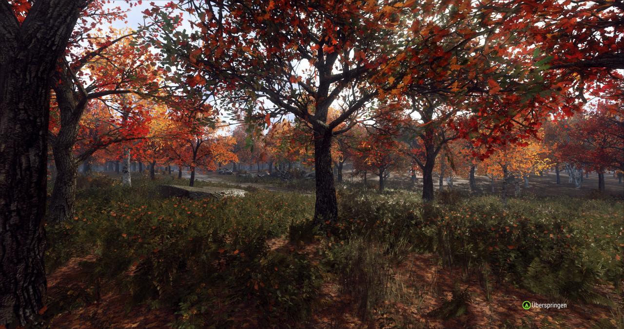 [27/02/2019] Dirt Rally 2.0 im Techniktest (Bilder: 4.096 × 2.160 mit maximalen Details, resampled @ 1440p) (22)