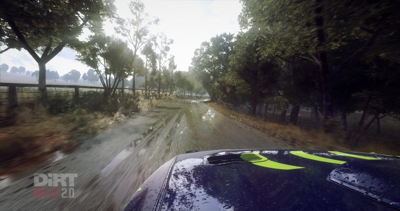 [27/02/2019] Dirt Rally 2.0 im Techniktest (Bilder: 4.096 × 2.160 mit maximalen Details, resampled @ 1440p) (8)