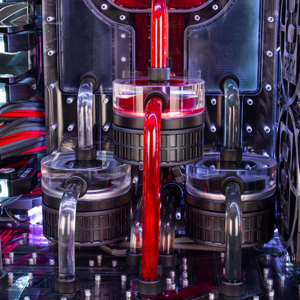[21/02/2019] 8Pack Orion X2