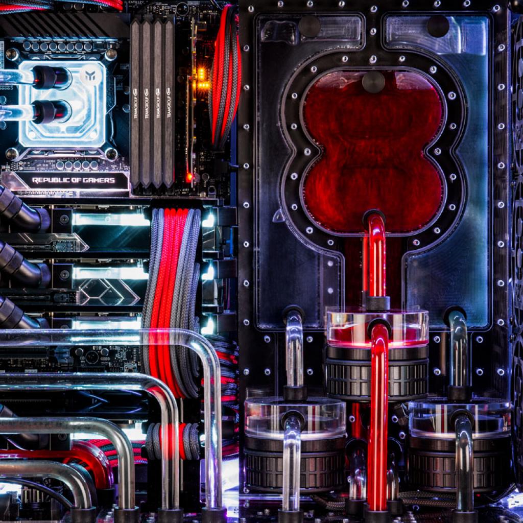 [21/02/2019] 8Pack Orion X2