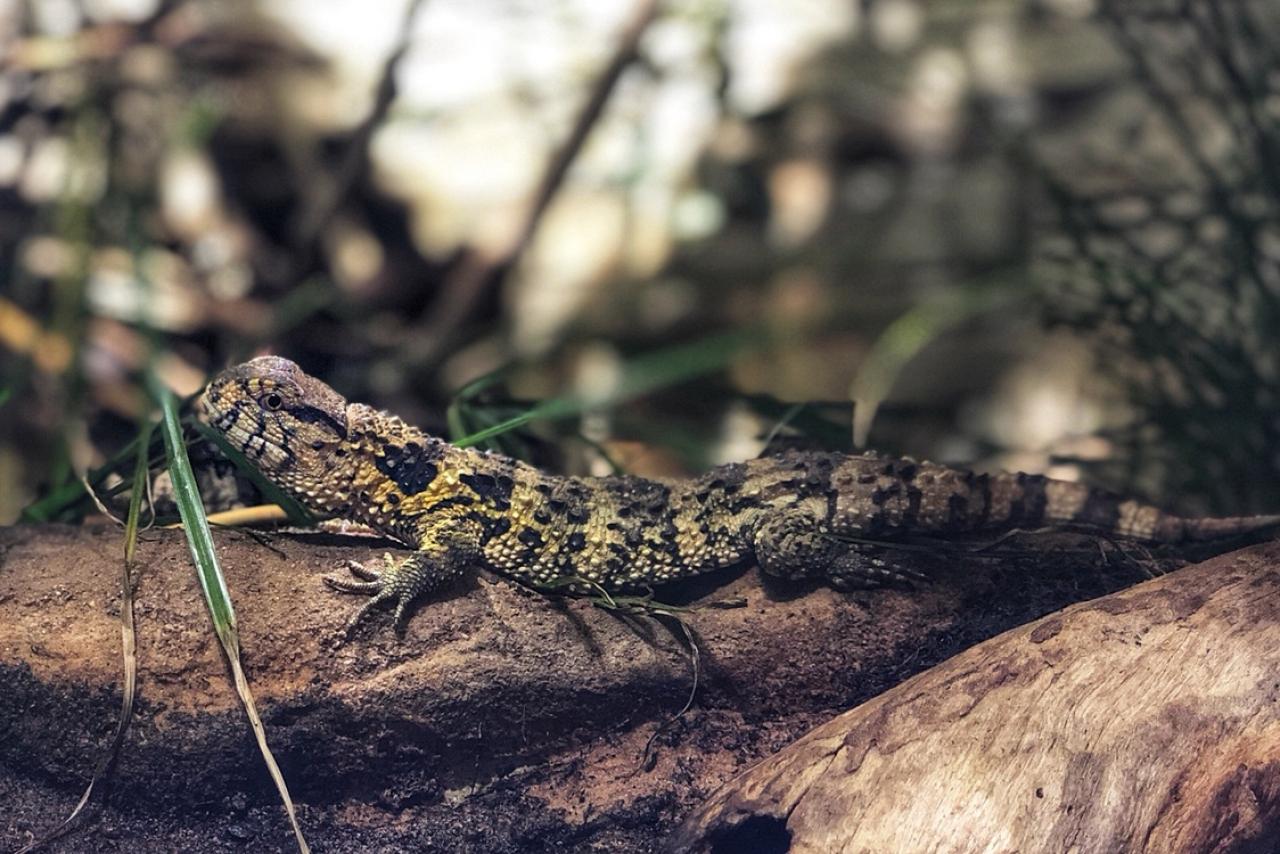 [07/03/2019] Update März 2019: Foto von mayo