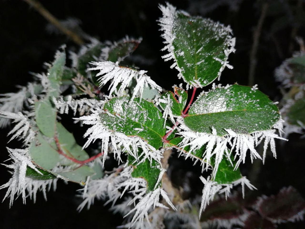 [07/03/2019] Update März 2019: Foto von BautznerSnef