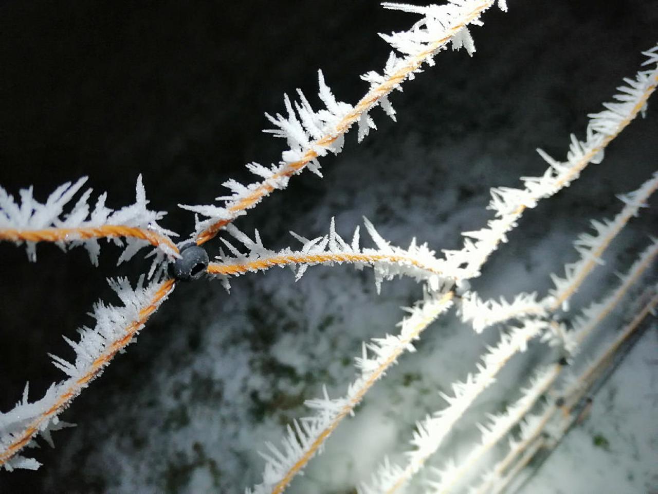 [07/03/2019] Update März 2019: Foto von BautznerSnef