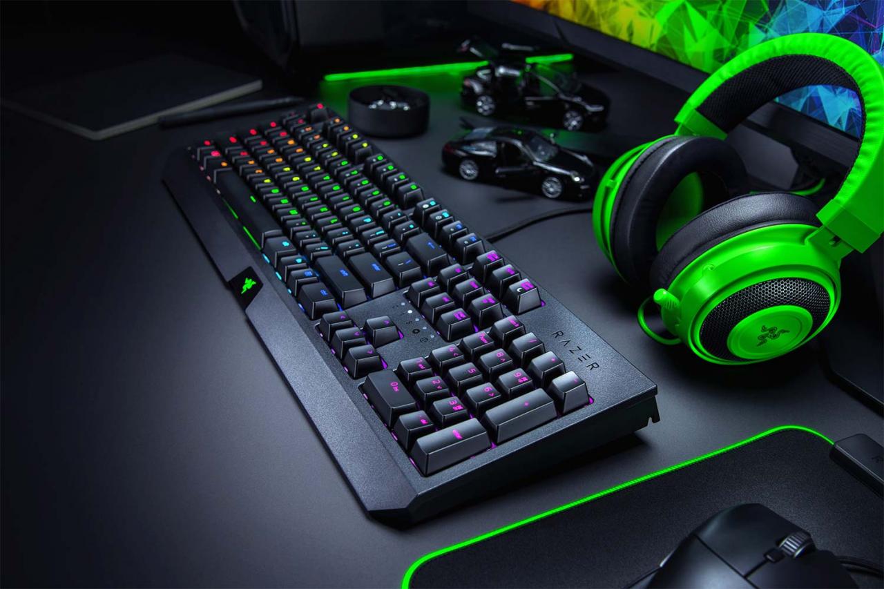 [17/03/2019] Razer Blackwidow 2019 (4)