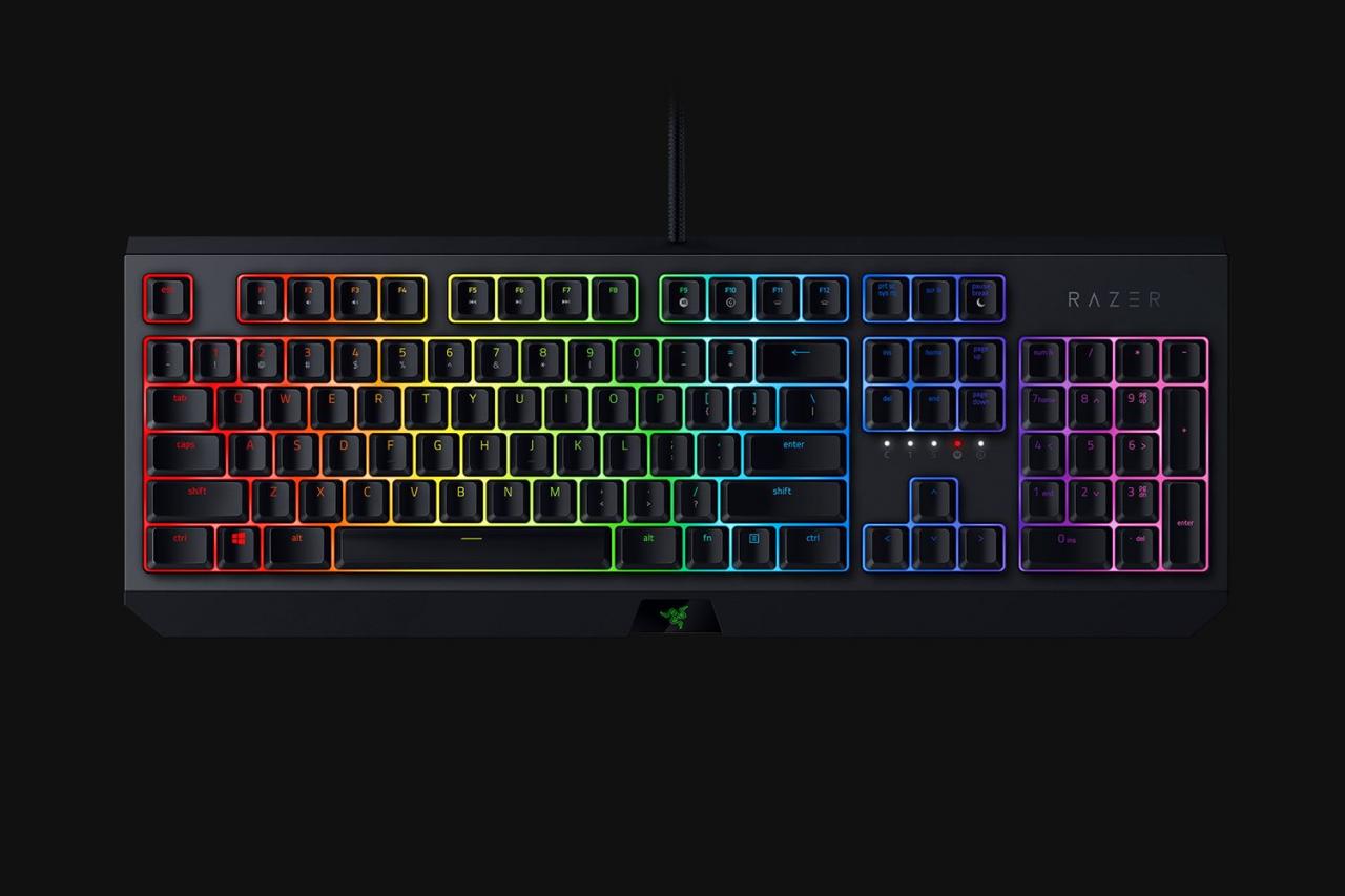 [17/03/2019] Razer Blackwidow 2019 (5)