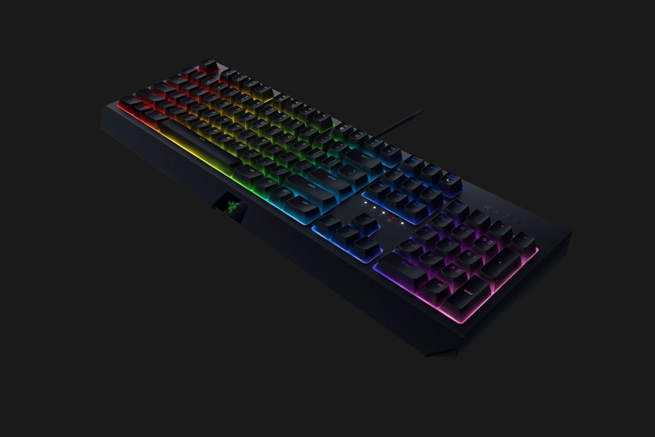 [17/03/2019] Razer Blackwidow 2019 (6)