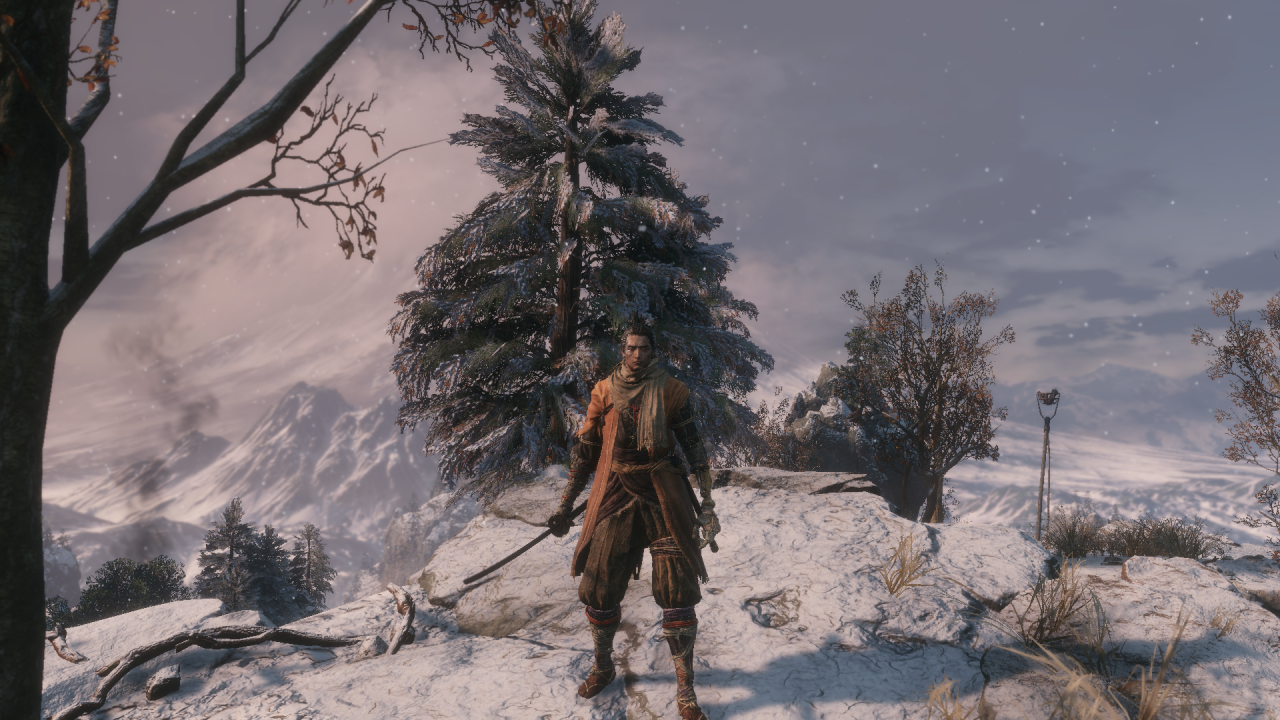 Sekiro: kein AA