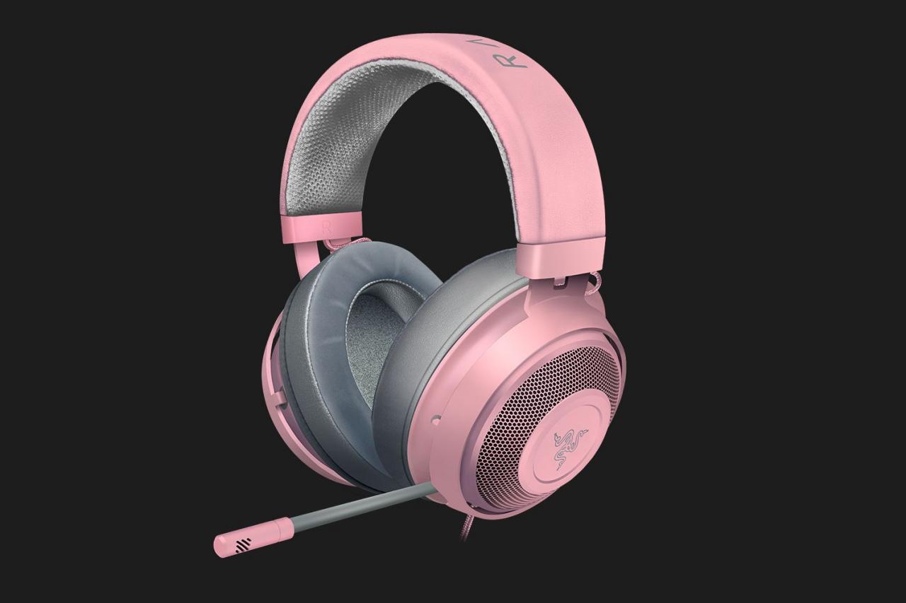 [17/03/2019] Razer Kraken (3)