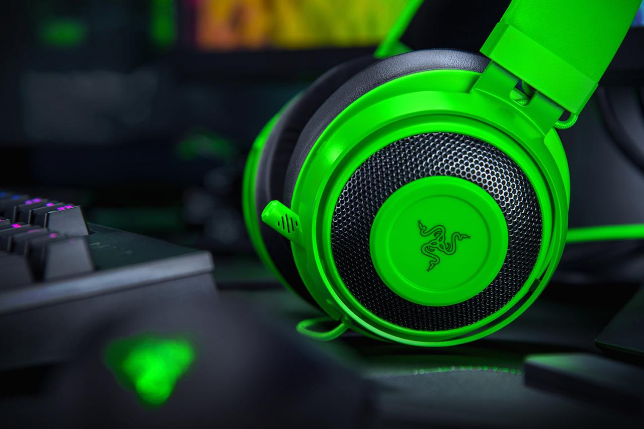 [17/03/2019] Razer Kraken (8)