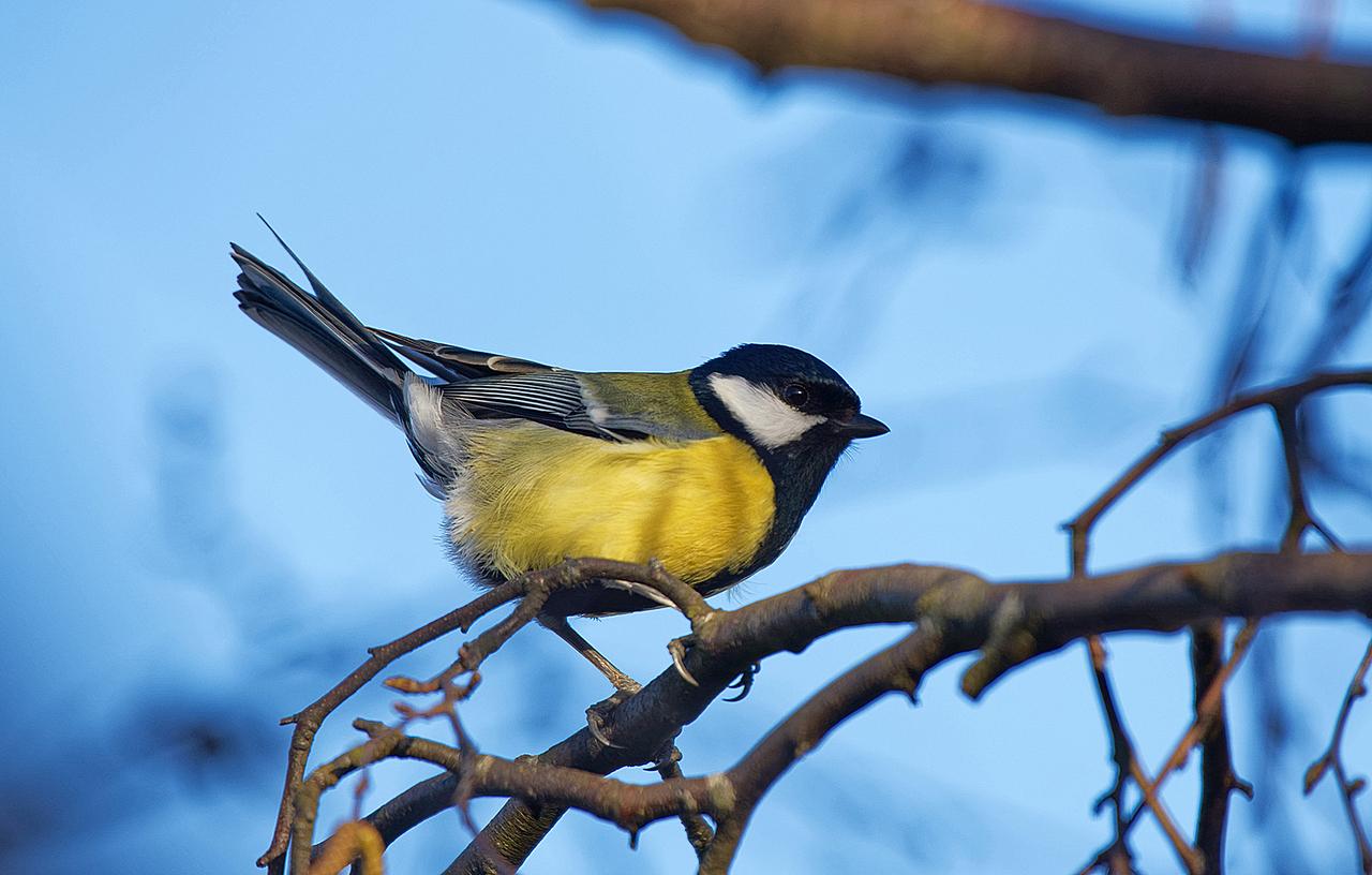 [25/04/2019] Update April 2019: Foto von Blende8