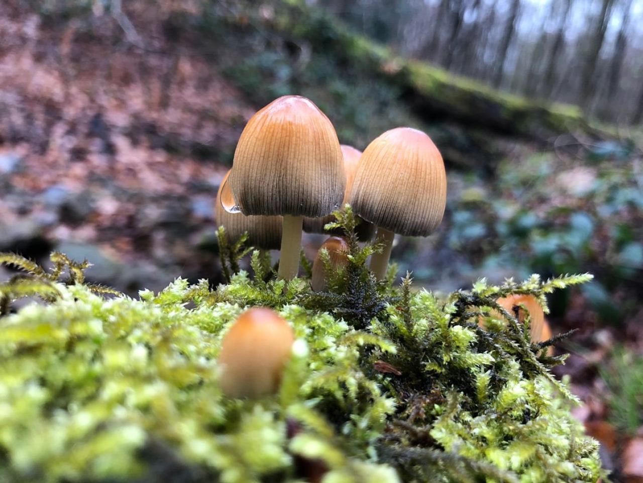 [25/04/2019] Update April 2019: Foto von mayo