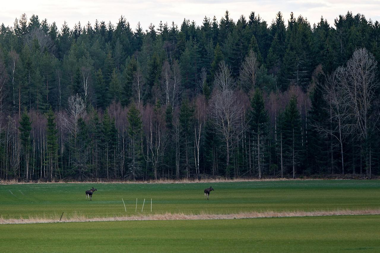 [25/04/2019] Update April 2019: Foto von Blende8