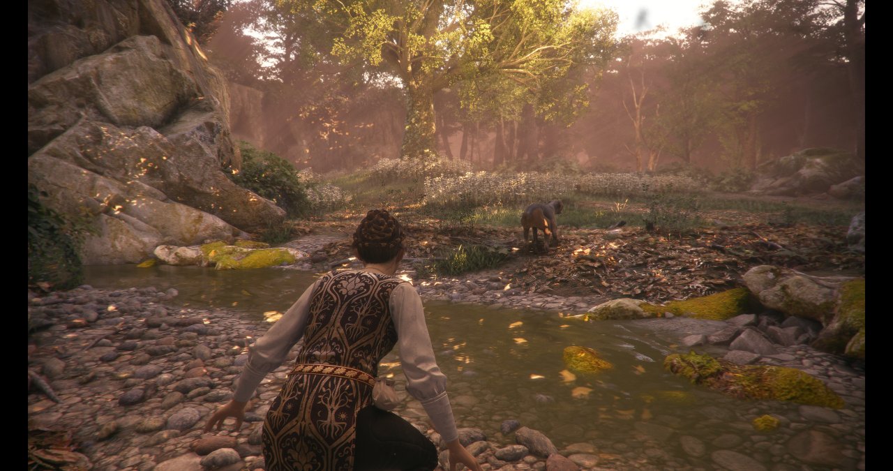 [09/05/2019] A Plague Tale: Innocence – Bildhübsches 