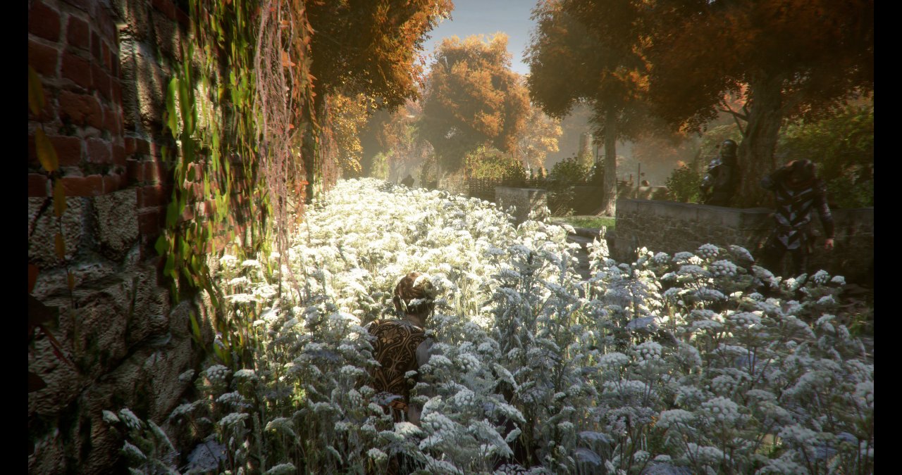 [09/05/2019] A Plague Tale: Innocence – Bildhübsches 