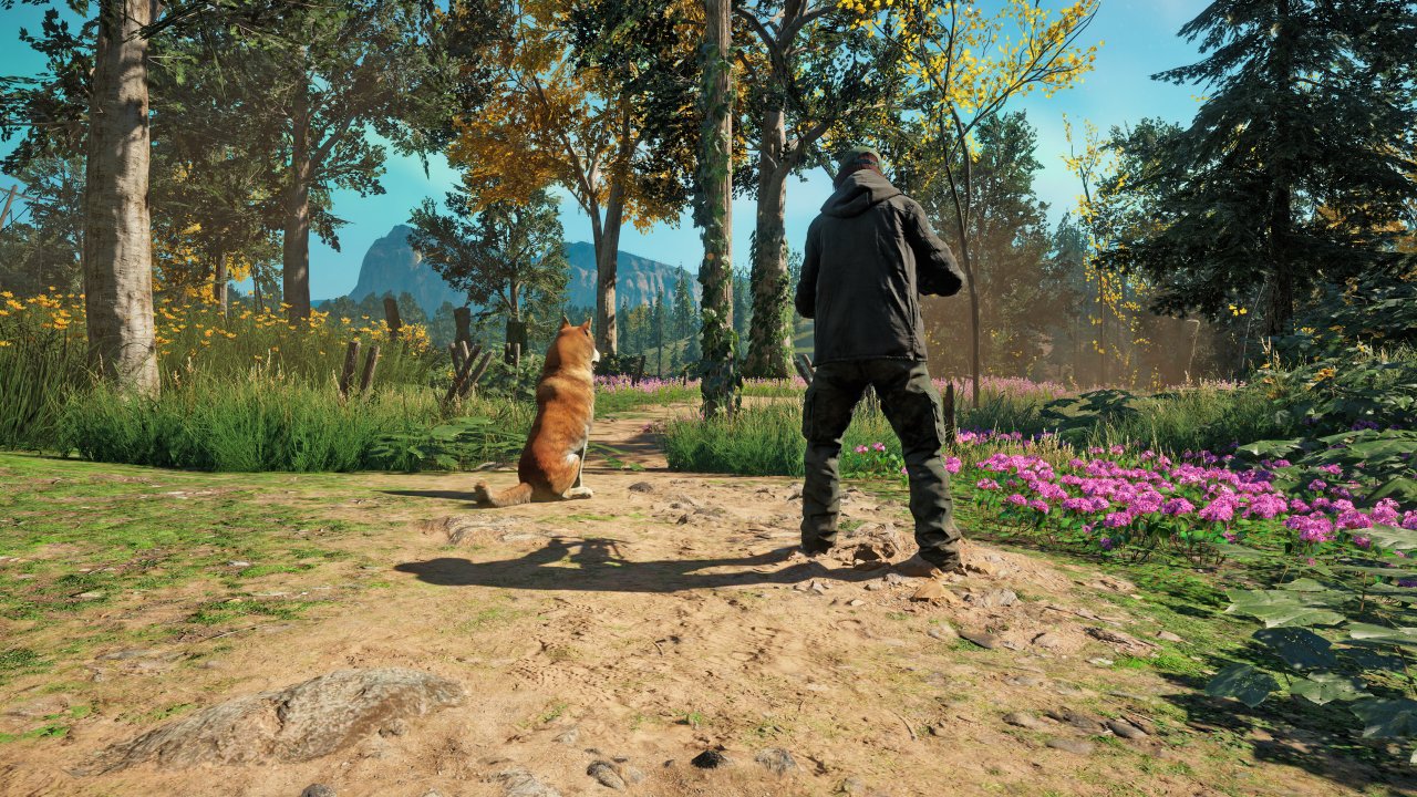 [27/06/2019] Far Cry New Dawn – 