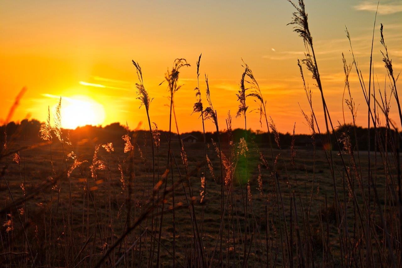 [14/06/2019] Update Juni 2019: Foto von Luemmel