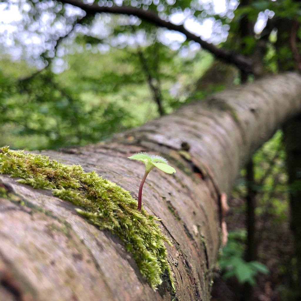 [14/06/2019] Update Juni 2019: Foto von mayo