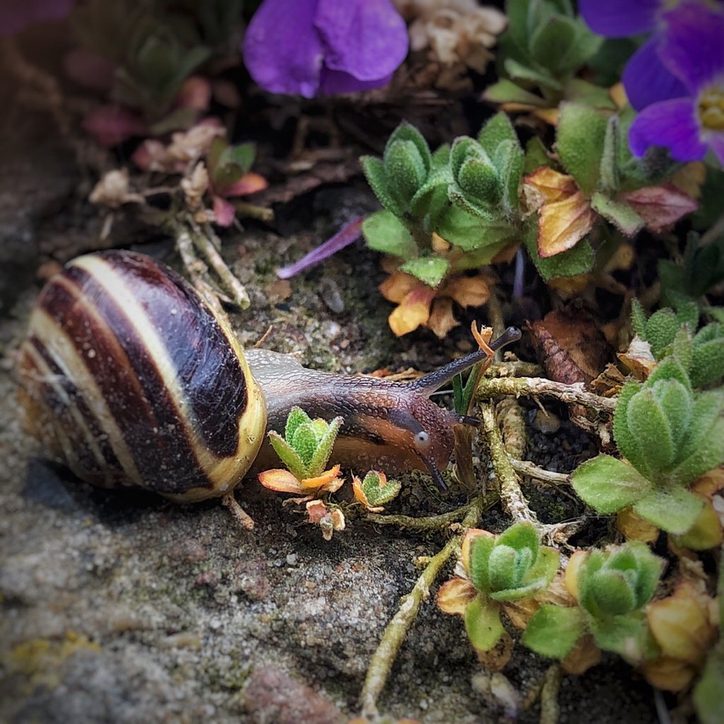 [14/06/2019] Update Juni 2019: Foto von mayo