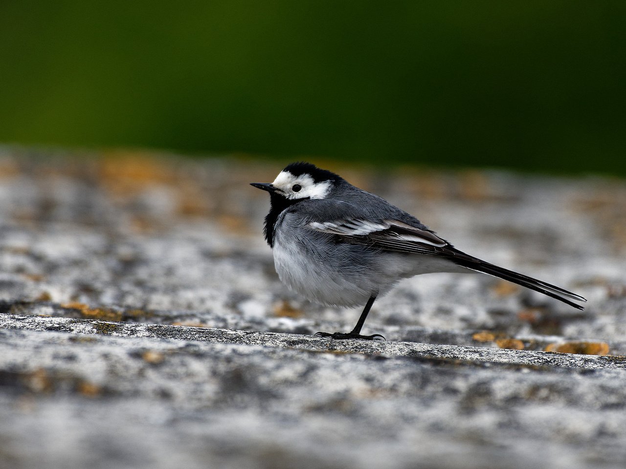 [14/06/2019] Update Juni 2019: Foto von Blende8