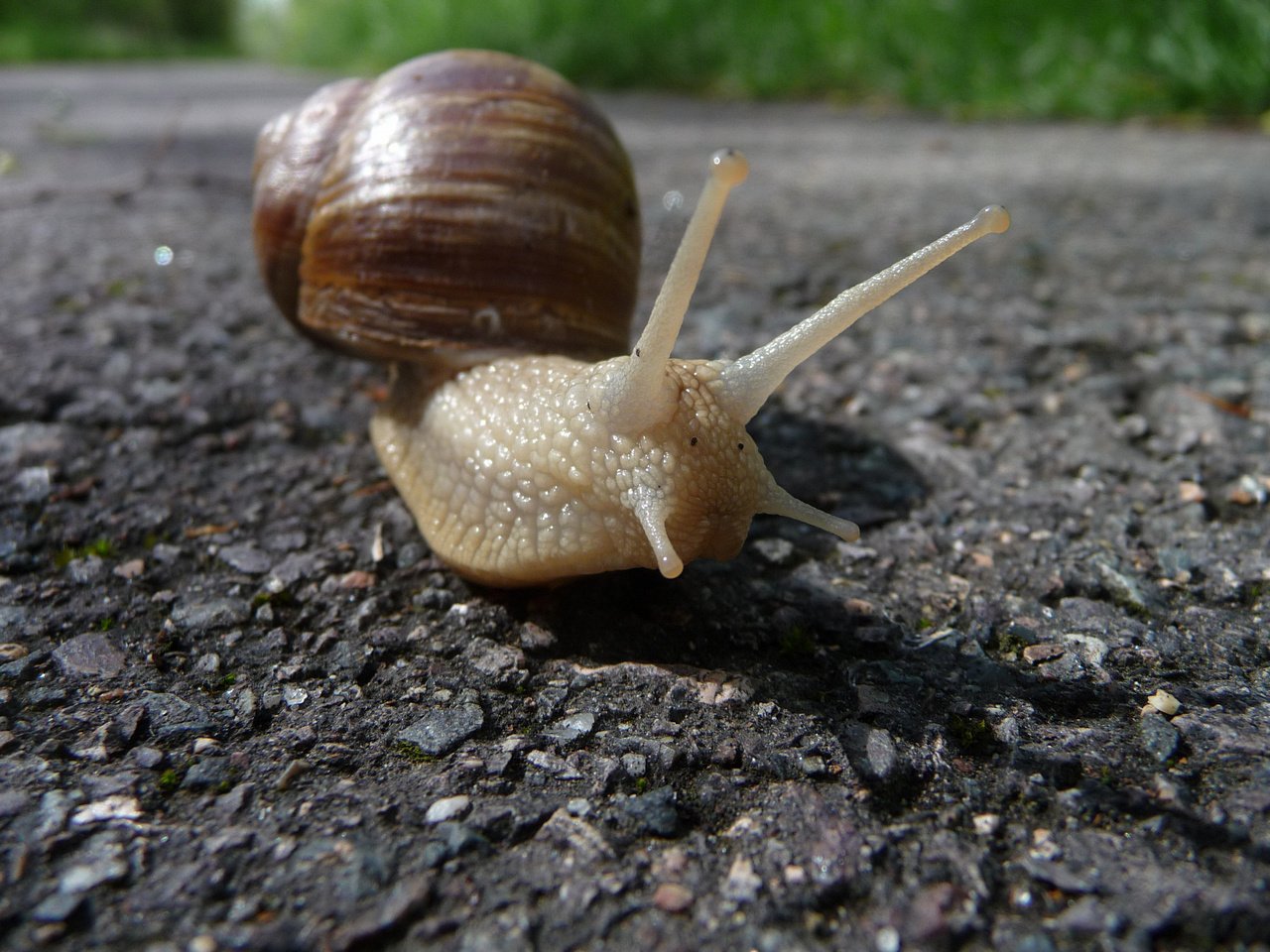 [14/06/2019] Update Juni 2019: Foto von mattinator