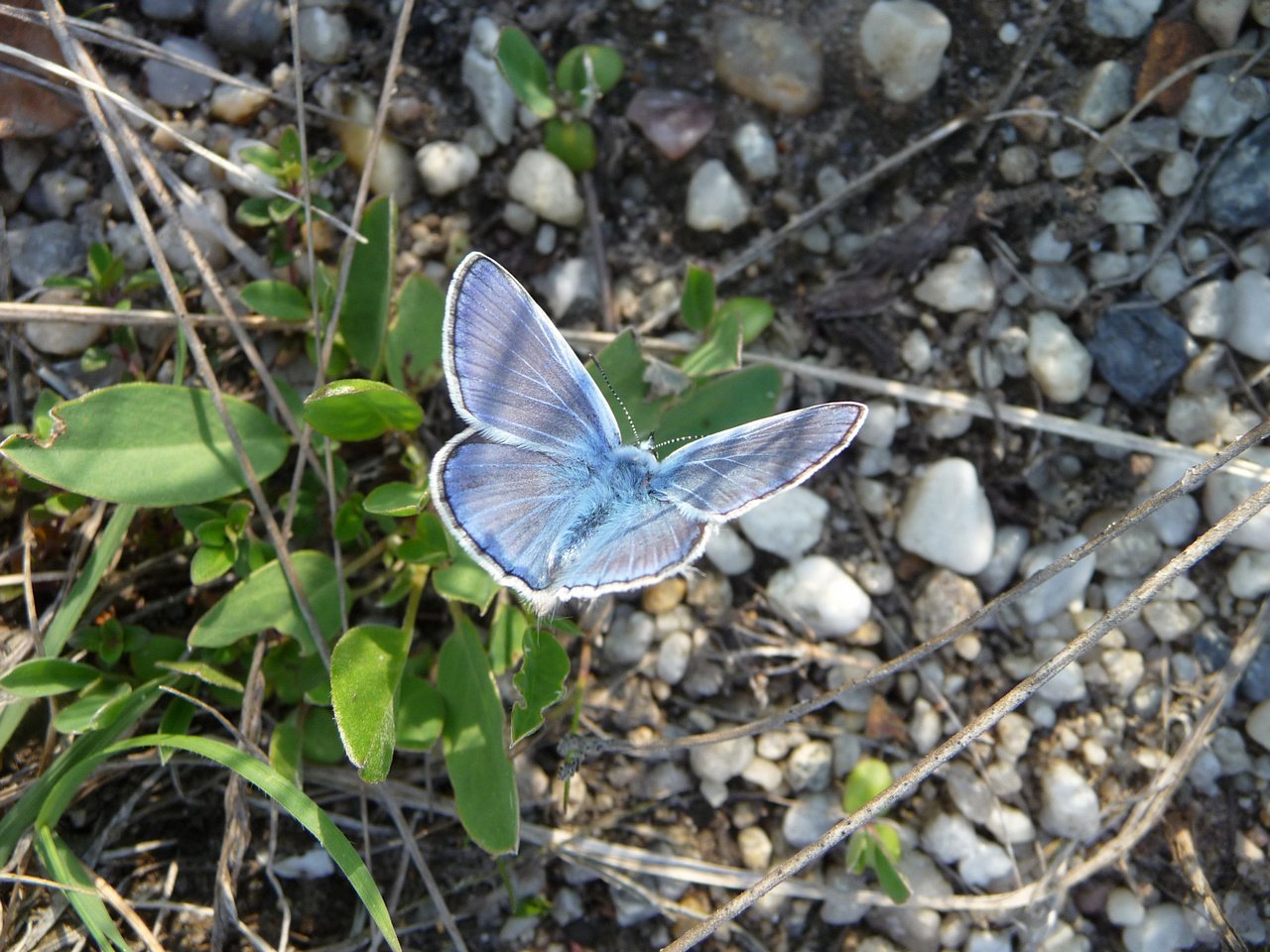 [14/06/2019] Update Juni 2019: Foto von mattinator
