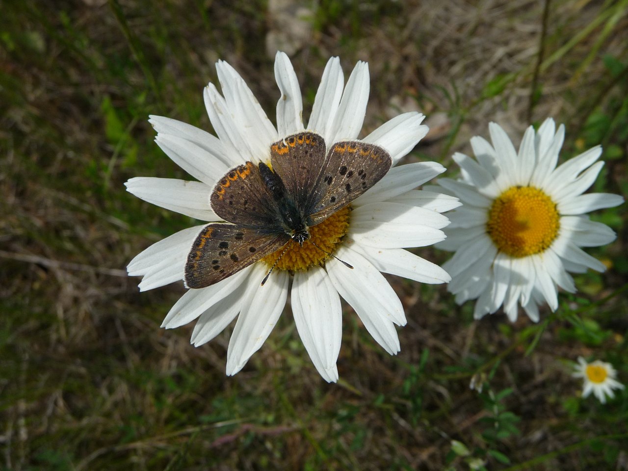 [14/06/2019] Update Juni 2019: Foto von mattinator