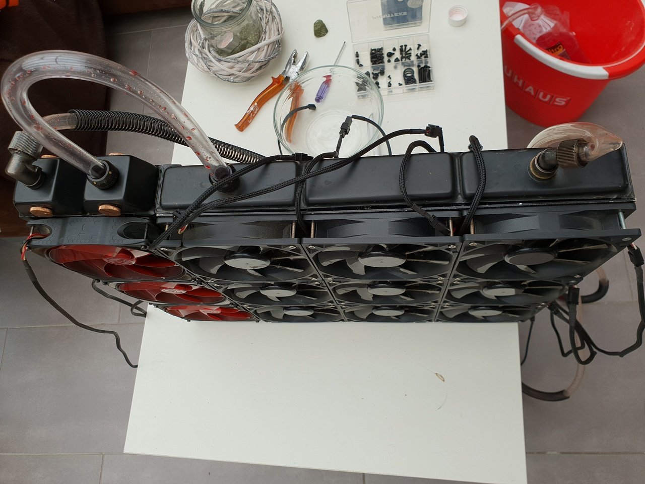 [07/06/2019] Update Juni 2019: Foto von Joselman