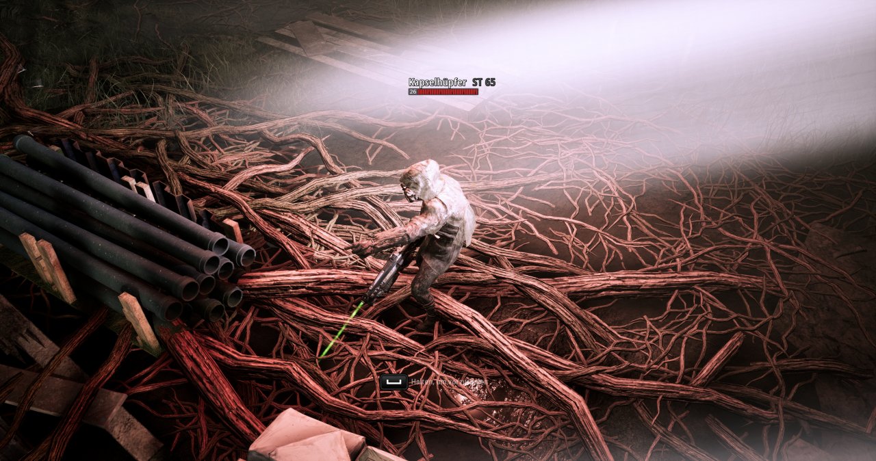 [08/08/2019] Mutant Year Zero: Seed of Evil im Benchmark-Test: Boar, shut the duck up! (13)