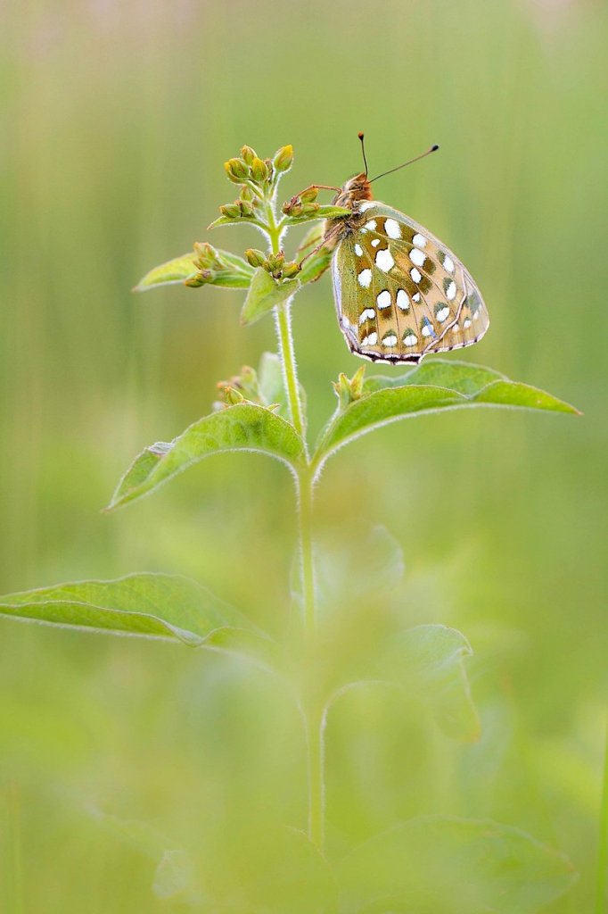 [13/08/2019] Update August 2019: Foto von NotAnExit