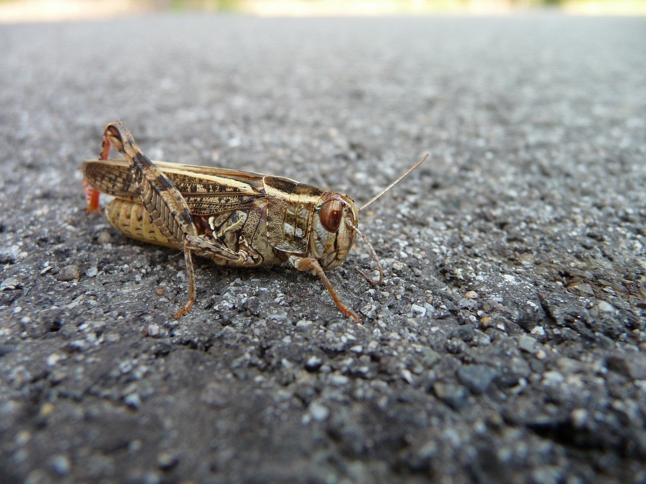 [13/08/2019] Update August 2019: Foto von mattinator