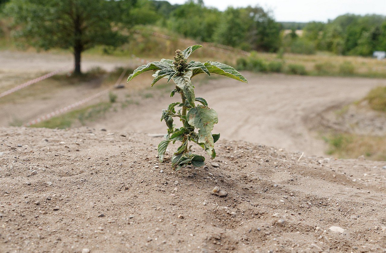 [13/08/2019] Update August 2019: Foto von TurricanVeteran