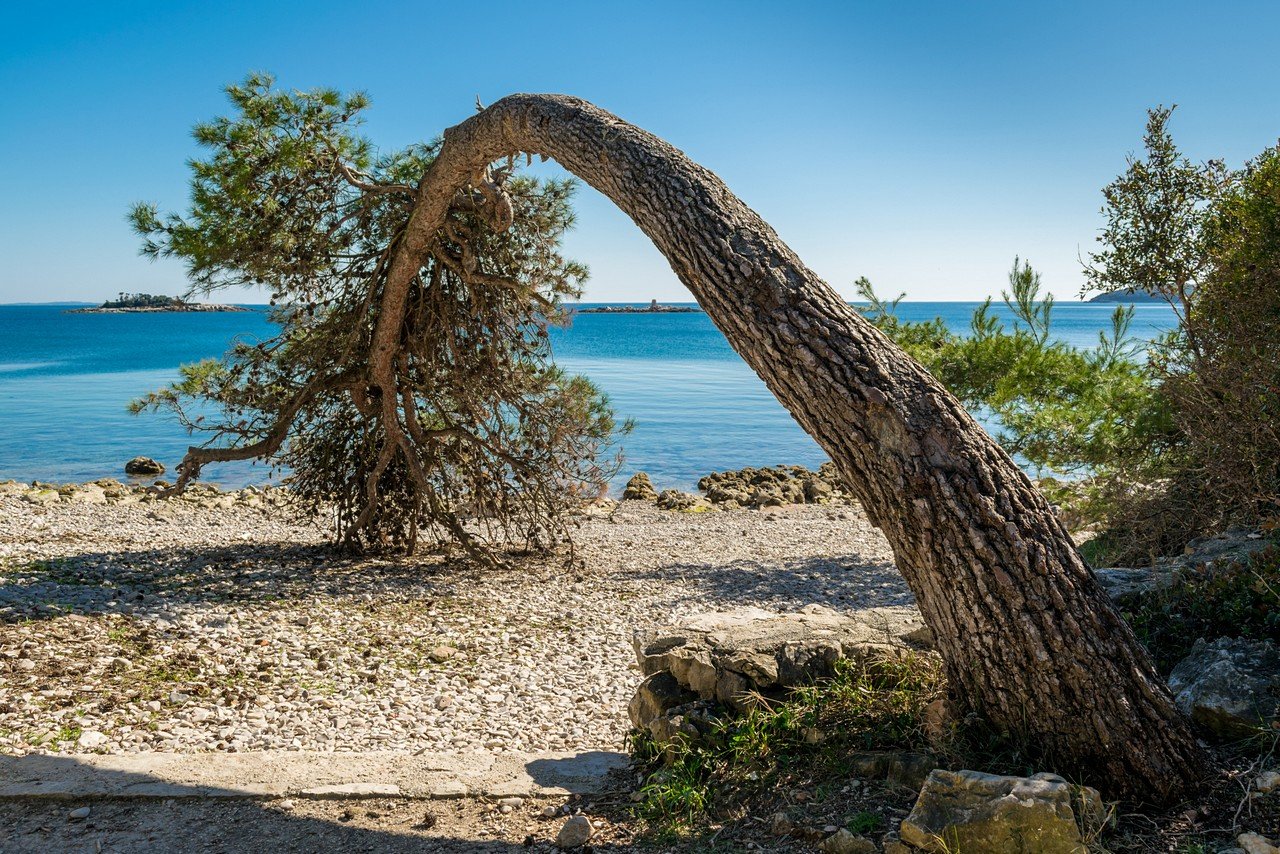 [05/10/2019] Update Oktober 2019: Foto von The_Rock
