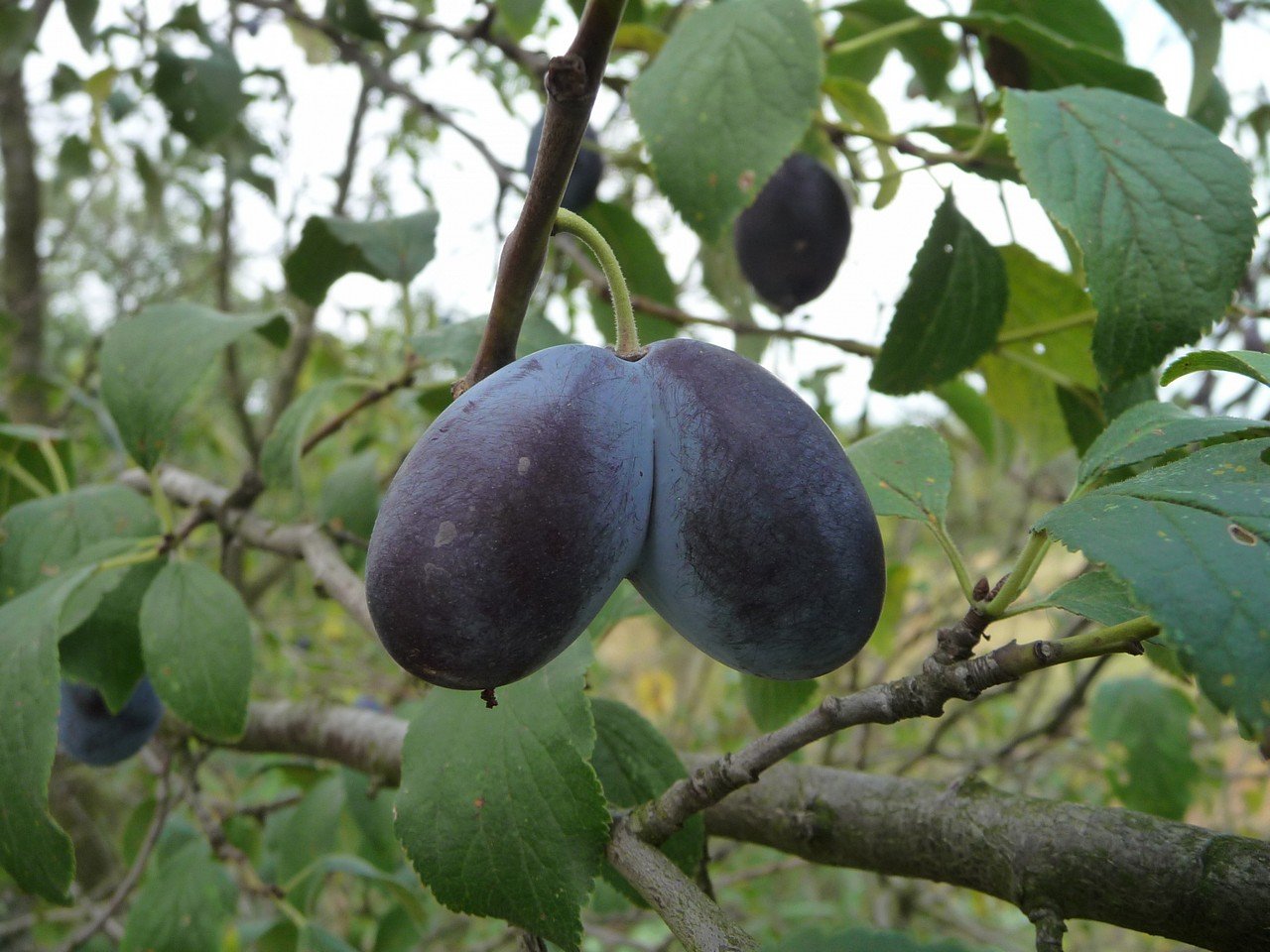 [05/10/2019] Update Oktober 2019: Foto von mattinator