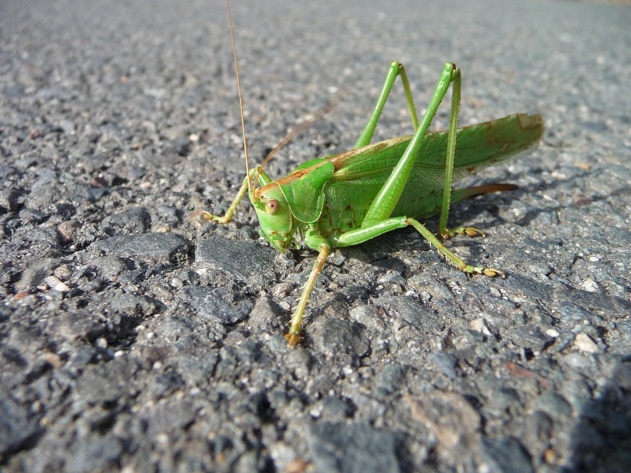 [05/10/2019] Update Oktober 2019: Foto von mattinator