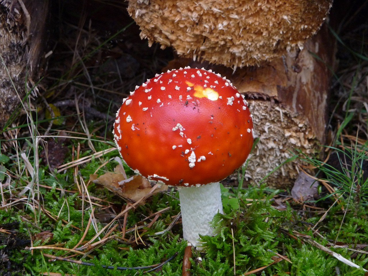 [05/10/2019] Update Oktober 2019: Foto von mattinator