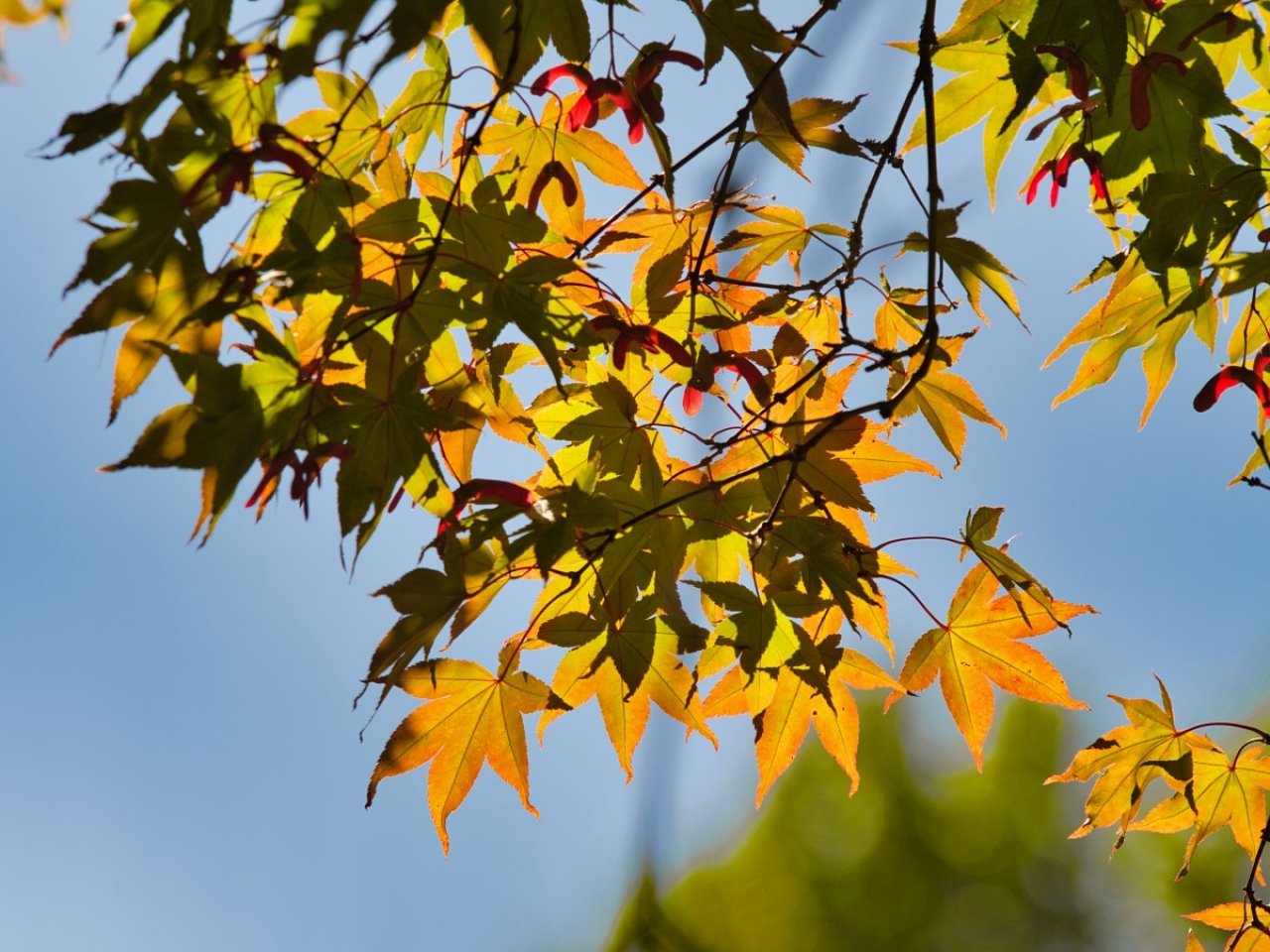 [05/10/2019] Update Oktober 2019: Foto von der_yappi