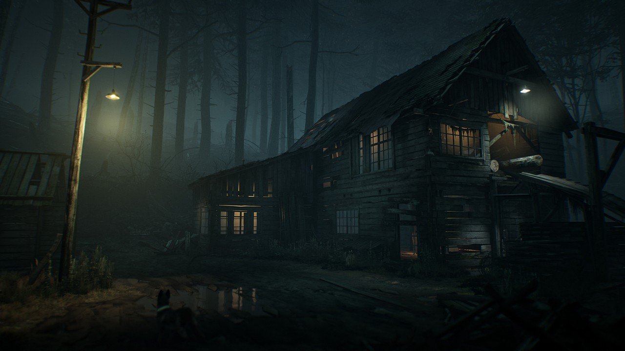 [12/10/2019] Blair Witch - Screenshot von Nafeken