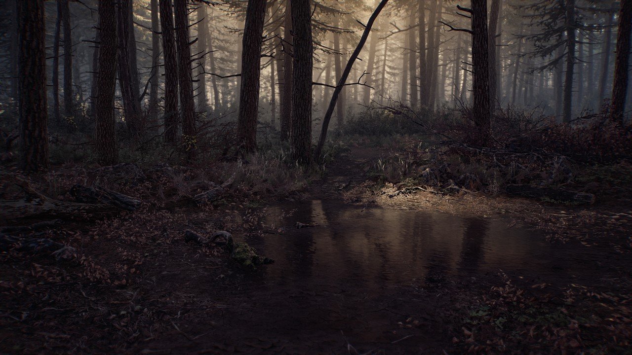 [12/10/2019] Blair Witch - Screenshot von Nafeken