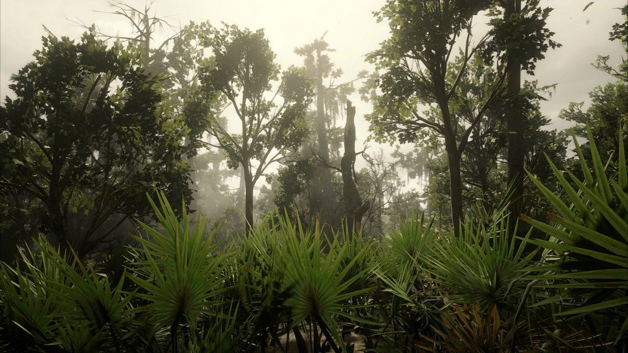 [23/11/2019] Red Dead Redemption 2 (Custom Settings) - Screenshot von NotAnExit