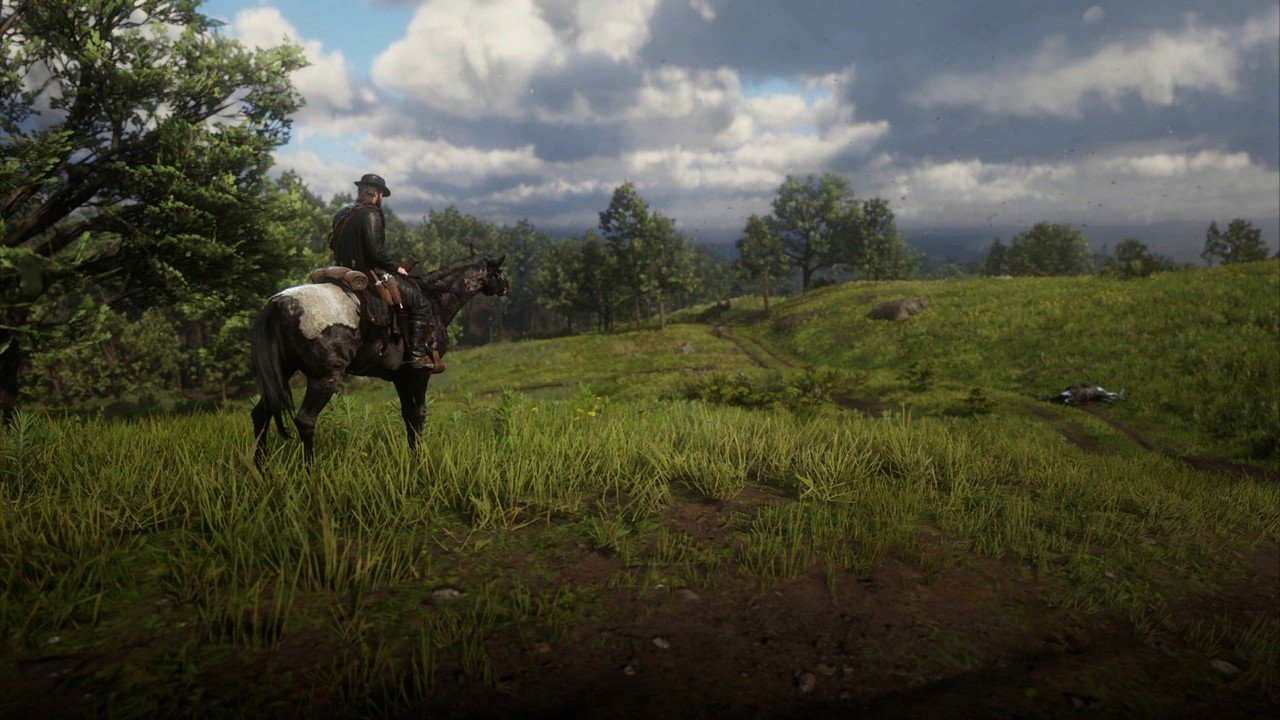 [23/11/2019] Red Dead Redemption 2 (Vulkan, Custom Settings, Nvidia Freestyle Sharpen) - Screenshot von NotAnExit