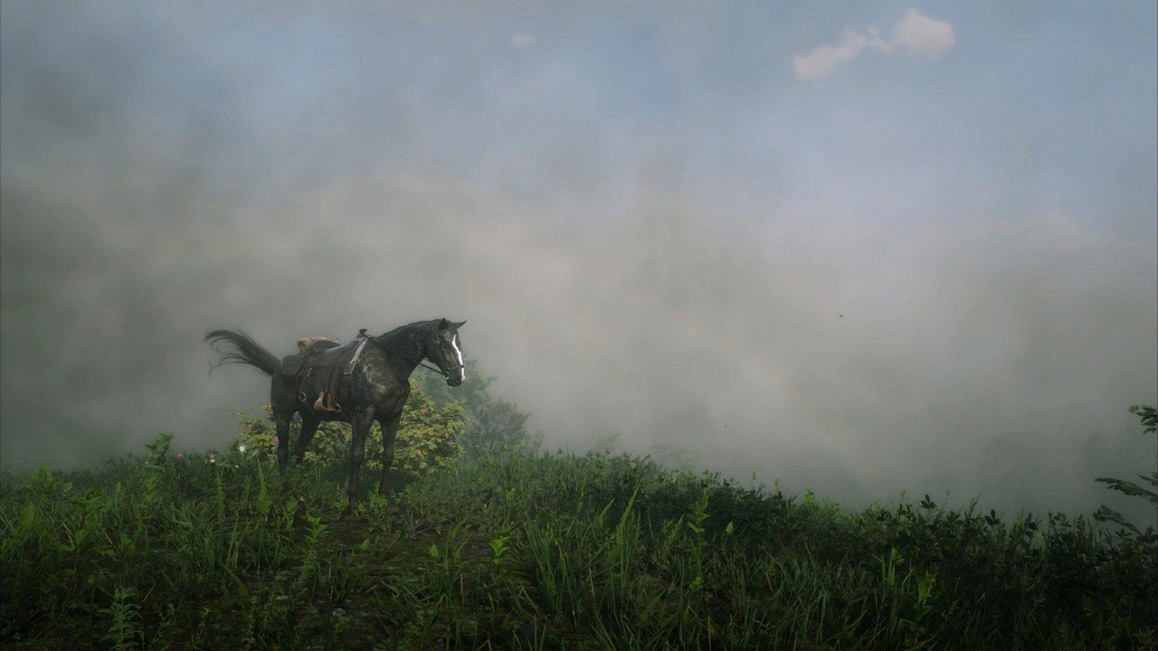 [23/11/2019] Red Dead Redemption 2 (Vulkan, Custom Settings, Nvidia Freestyle Sharpen) - Screenshot von NotAnExit