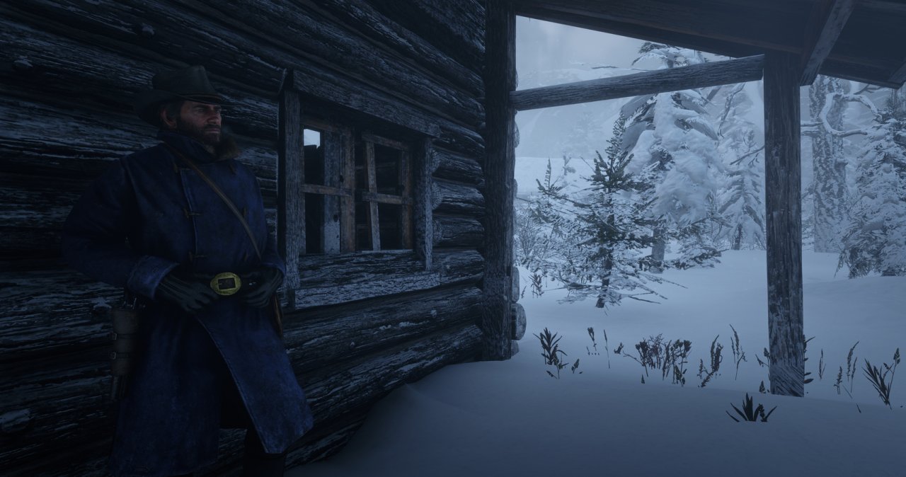 [06/11/2019] Red Dead Redemption 2 - 17:9