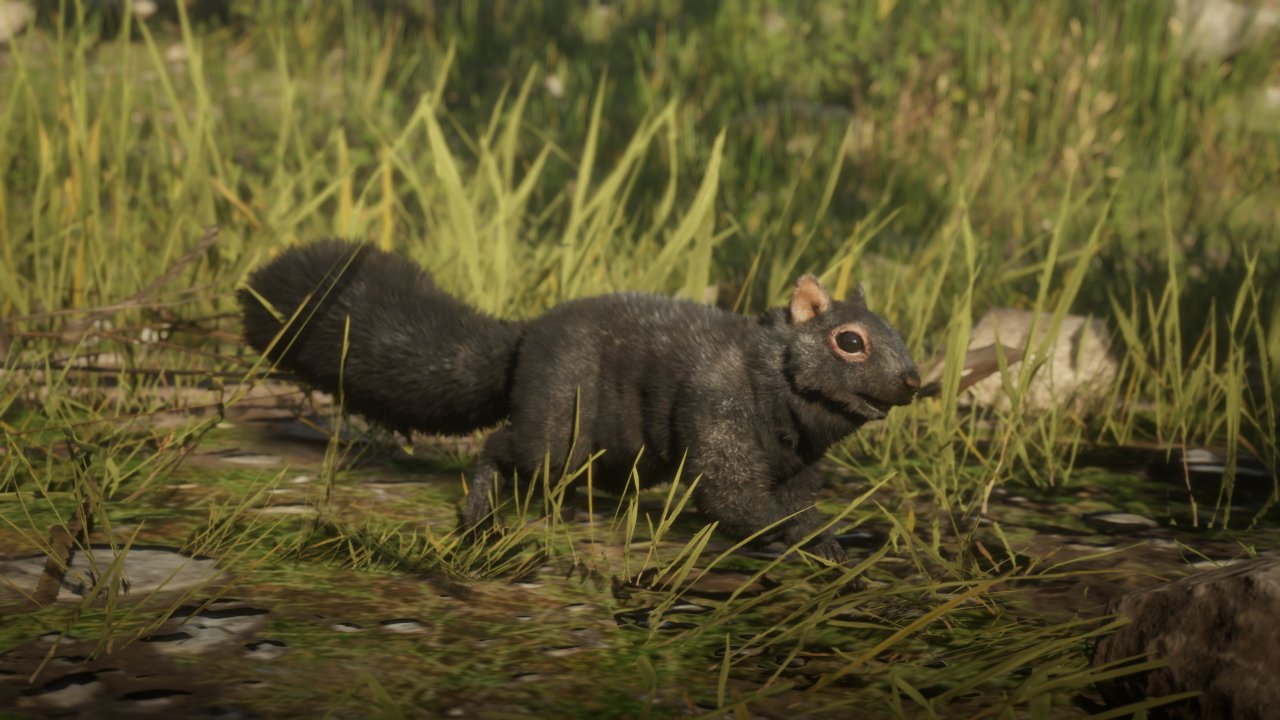 [06/11/2019] Red Dead Redemption 2 PC (54)