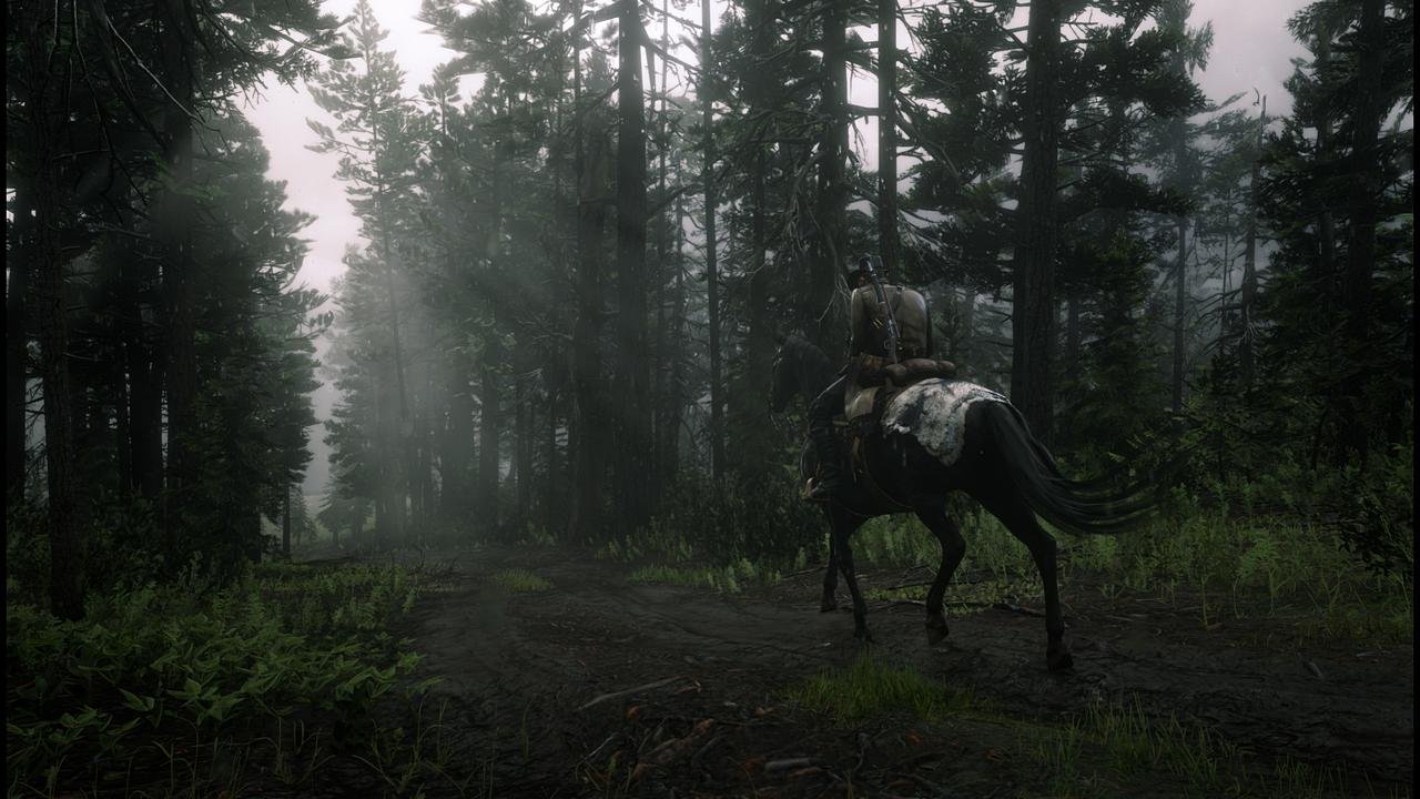 [13/01/2020] Red Dead Redemption 2 (Vulkan, Nvidia Image Sharpen) - Screenshot von NotAnExit