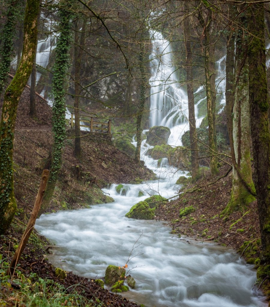 [29/02/2020] Update Februar 2020: Foto von The_Rock