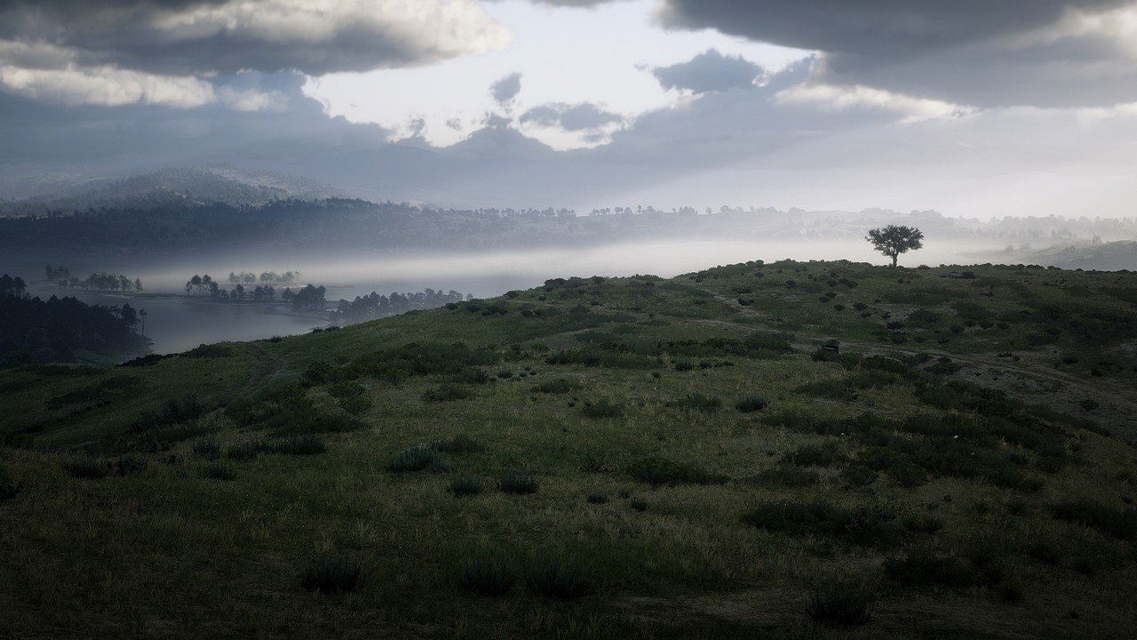 [06/03/2020] Read Dead Redemption 2 - Screenshot von Nafeken