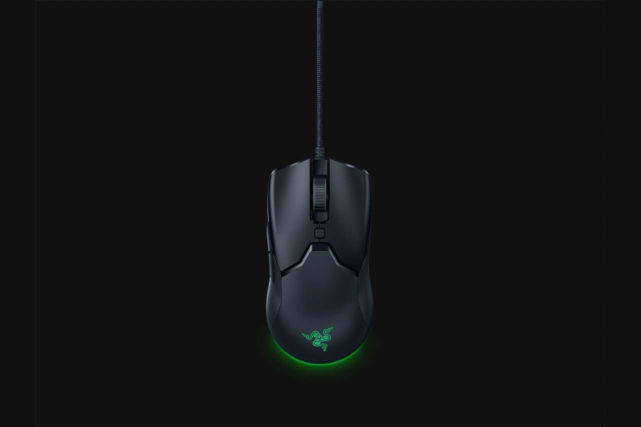 [05/03/2020] Razer Viper Mini (1)