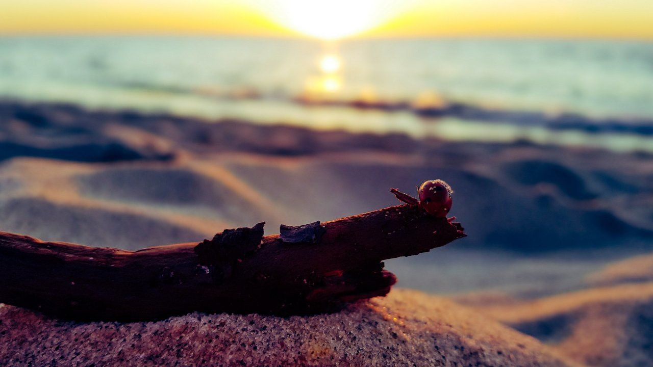 [19/04/2020] Update April 2020: Foto von Metamorph83