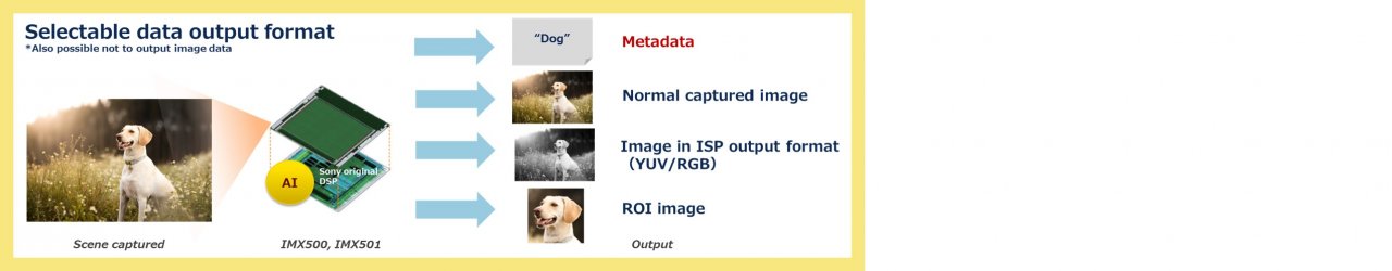 [15/05/2020] Sony IMX500 Bildsensor data output